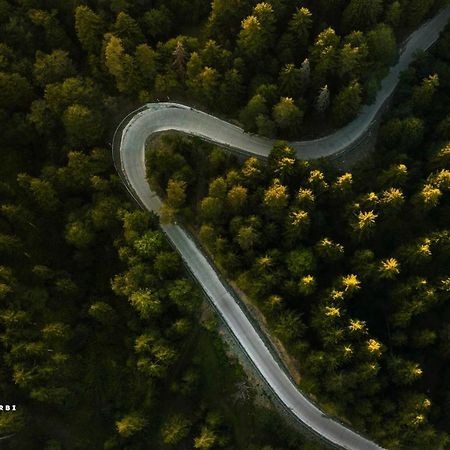 Bakuriani Apartment With Forest Around Екстериор снимка