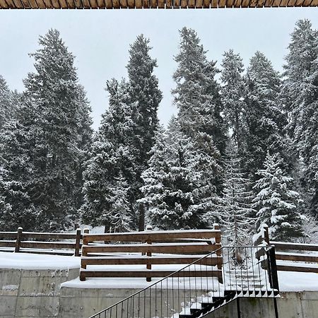 Bakuriani Apartment With Forest Around Екстериор снимка