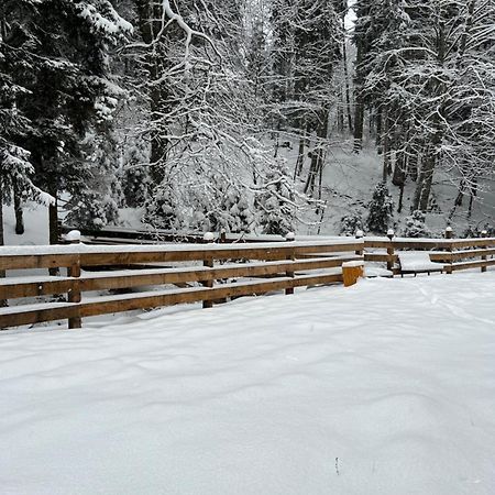 Bakuriani Apartment With Forest Around Екстериор снимка