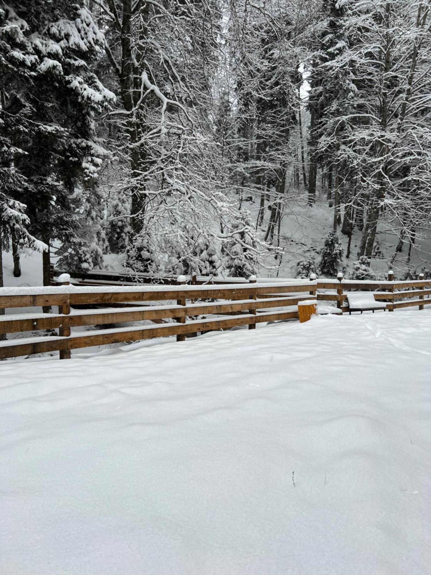 Bakuriani Apartment With Forest Around Екстериор снимка